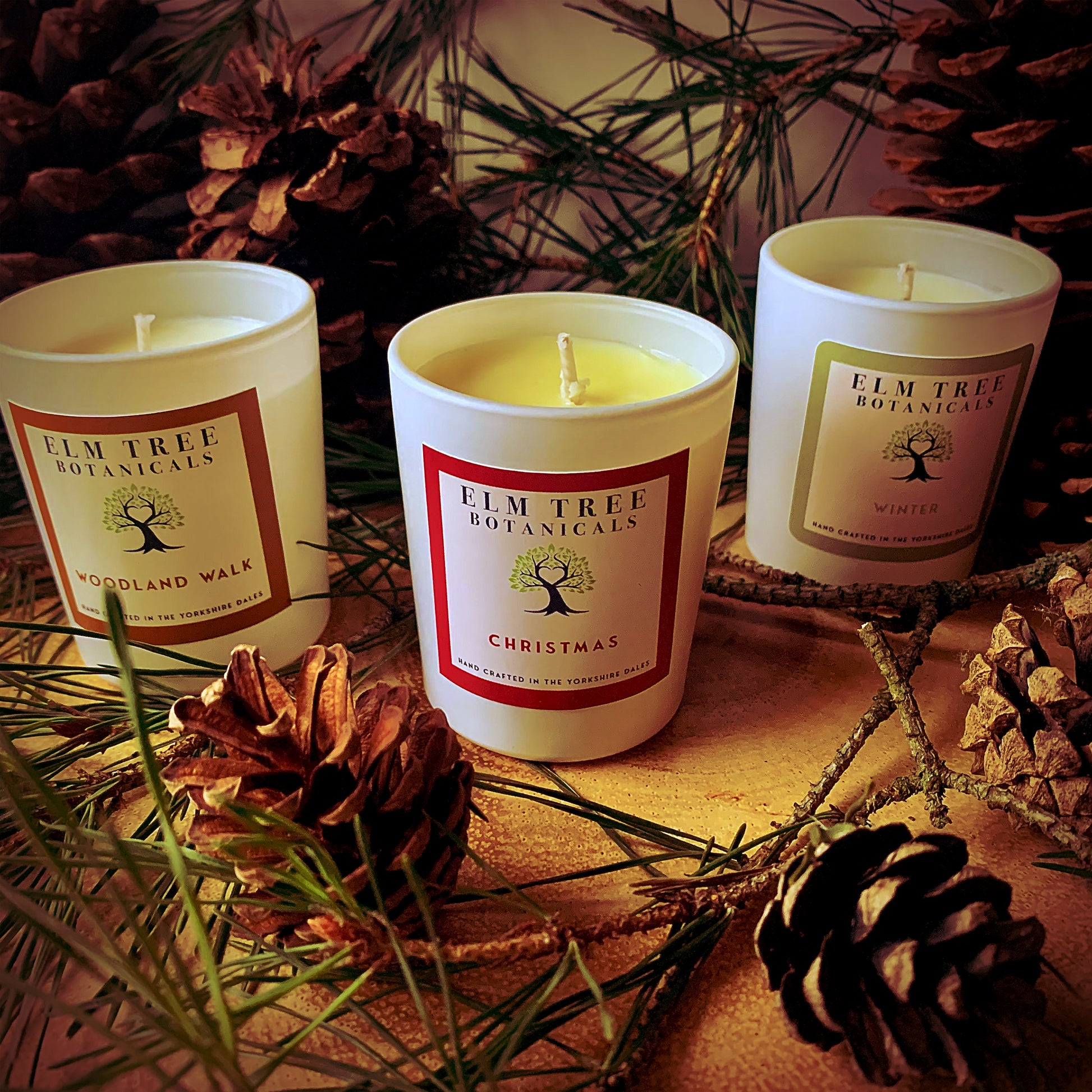 Winter Collection set of candles