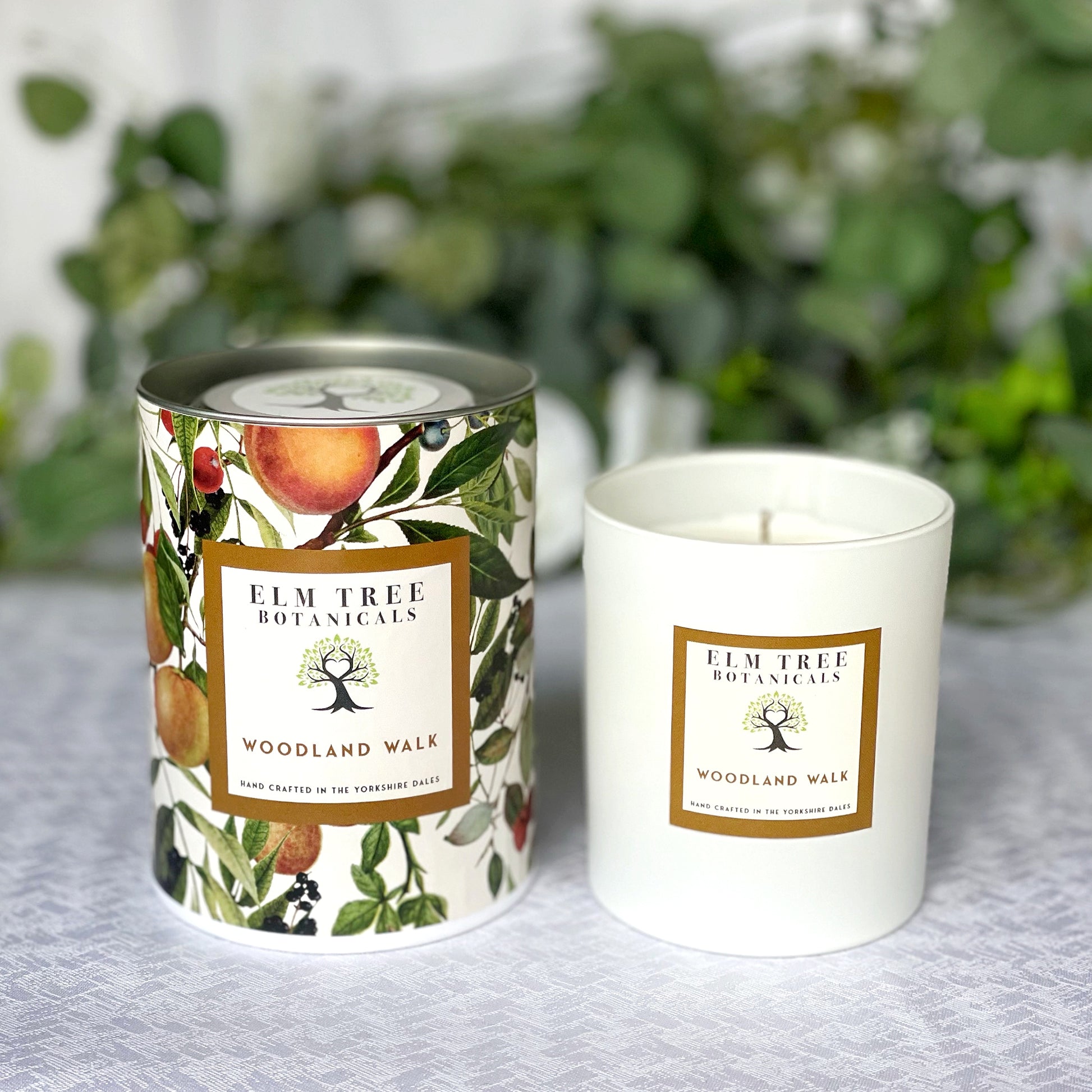 Woodland Walk Medium Candle with tin